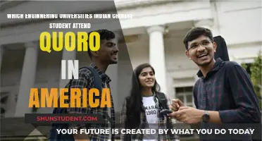 Engineering Excellence: Indian and Chinese Students' Quest for American University Admission