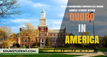 Engineering Universities: Where Indian and Chinese Students Study