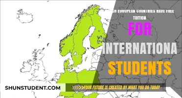 Explore Free Tuition in Europe as an International Student