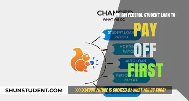 Student Loan Strategies: Which Federal Loans to Pay Off First