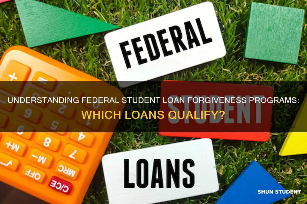 which federal student loans are forgiven