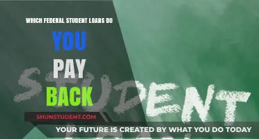 Student Loan Repayment: Which Federal Loans to Prioritize