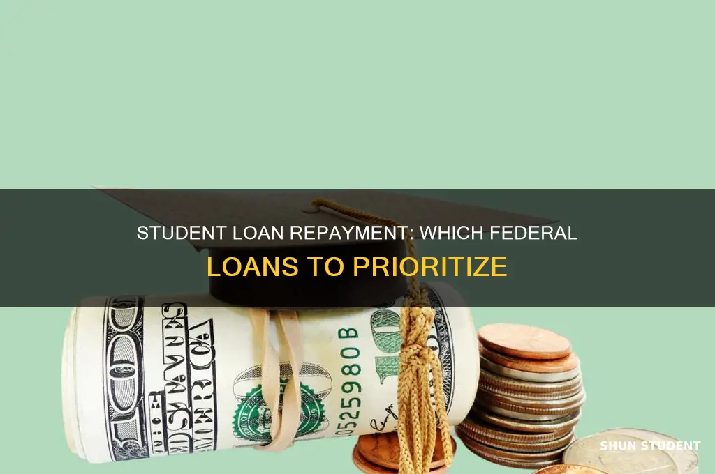 which federal student loans do you pay back