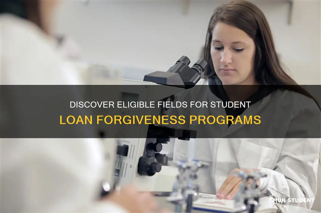 which fields ar elgible for student loan forgiveness