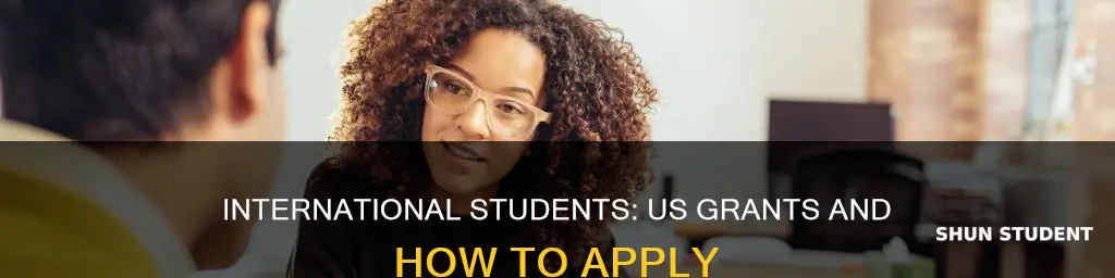which grants can international students apply to in us