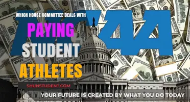 Student Athlete Compensation: House Committee Focus