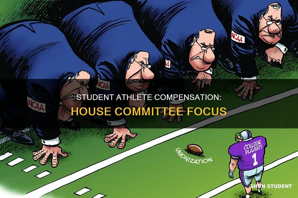 which house committee deals with paying student athletes