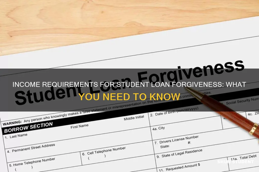 which income for student loan forgiveness