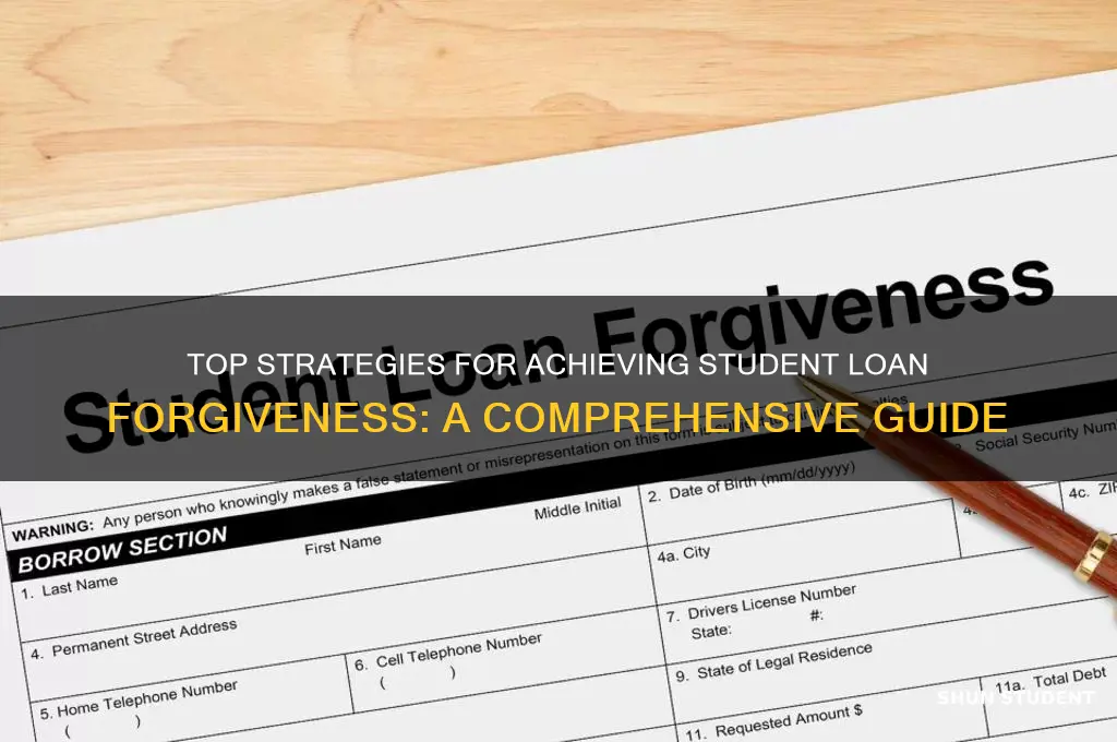 which is the best plan for student loan forgiveness