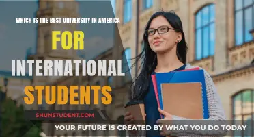 Top-Rated American Universities for International Students: A Comprehensive Guide