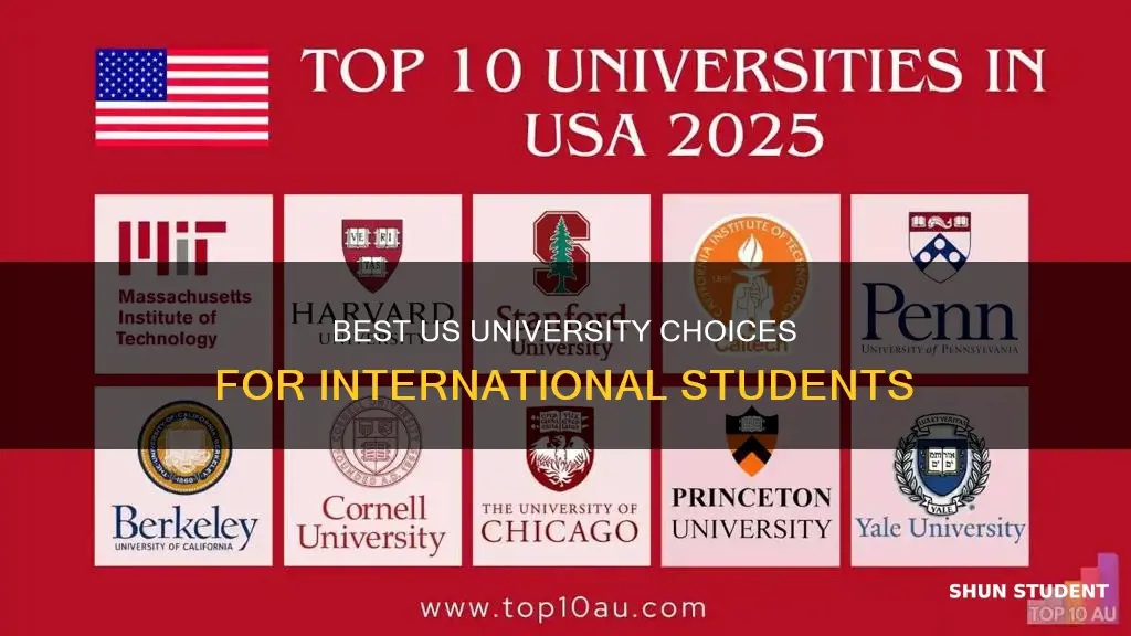 which is the best university in america for international students