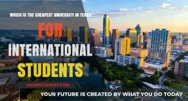 Affordable Texas University: Top Choice for International Students