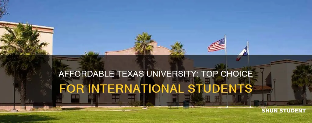 which is the cheapest university in texas for international students