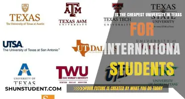 Affordable Texas Universities for International Students