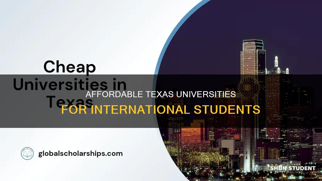 which is the cheapest university in texas for international students