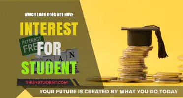Interest-Free Student Loans: Discover Your Affordable Education Financing Options