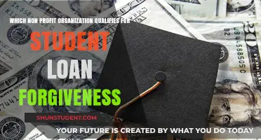Qualifying Non-Profits for Student Loan Forgiveness: Your Guide