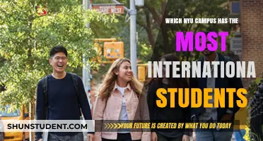 International Students Hub: NYU's Global Campus Appeal