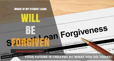 Understanding Student Loan Forgiveness: Which of Your Loans Qualify?