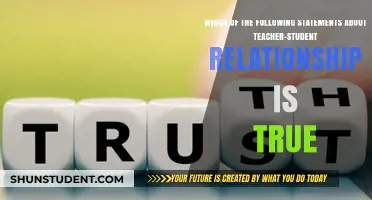 Understanding Teacher-Student Relationships: Debunking Myths and Highlighting Truths