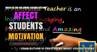 Teacher Factors Shaping Student Motivation: Key Influences and Insights