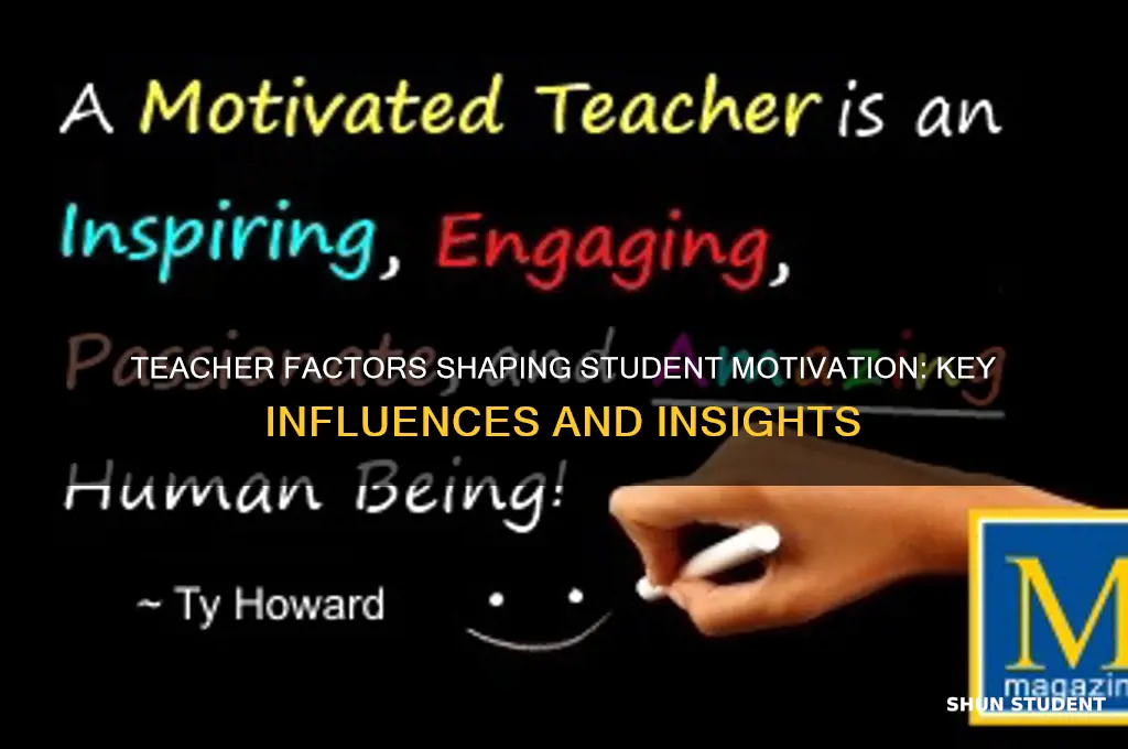 which of the following teacher factors affect students motivation