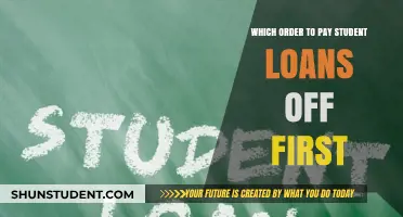 Student Loan Payment Strategies: Order of Attack