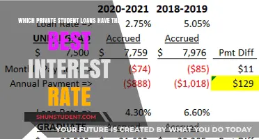 Top Private Student Loans: Lowest Interest Rates Compared