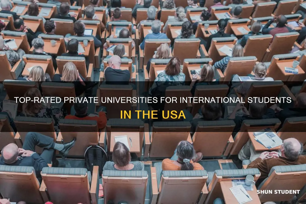 which private university international students go in usa