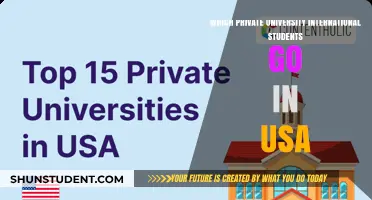 Top Private US Universities Attracting International Students