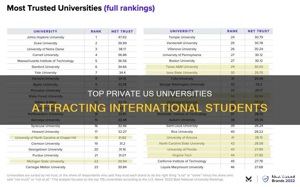 which private university international students go in usa