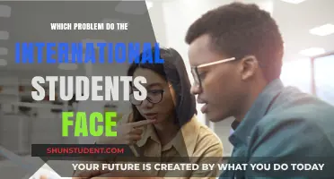 International Students: Navigating Challenges in a New Country