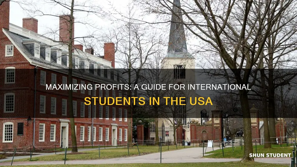 which profit university international students go in usa