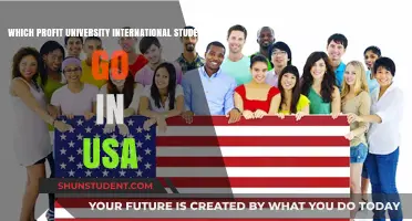 International Students' Preferred US Profit Universities