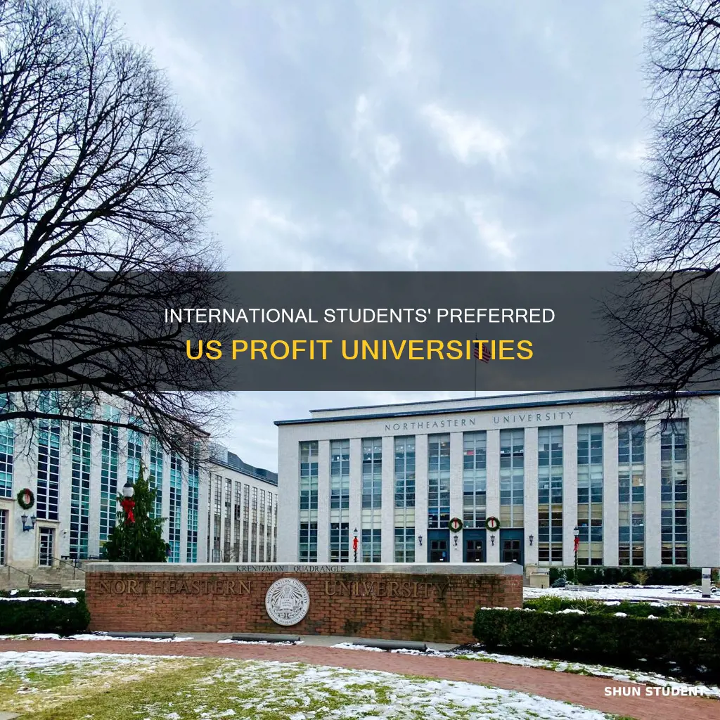 which profit university international students go in usa