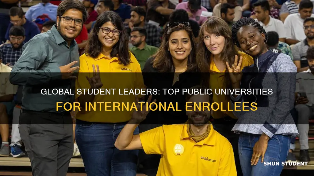 which public university has the highest number of international students