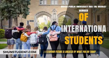 International Students' Preferred Public University in the US