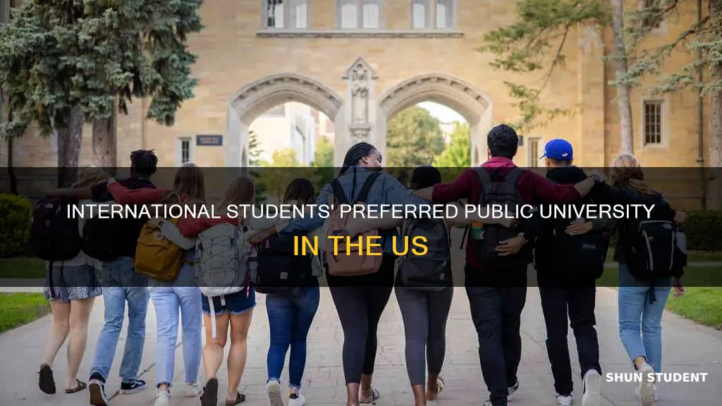 which public university has the highest number of international students