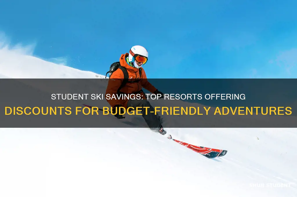 which ski resorts give student discounts