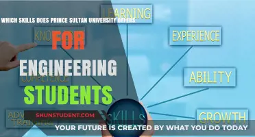 Engineering Skills Gained at Prince Sultan University