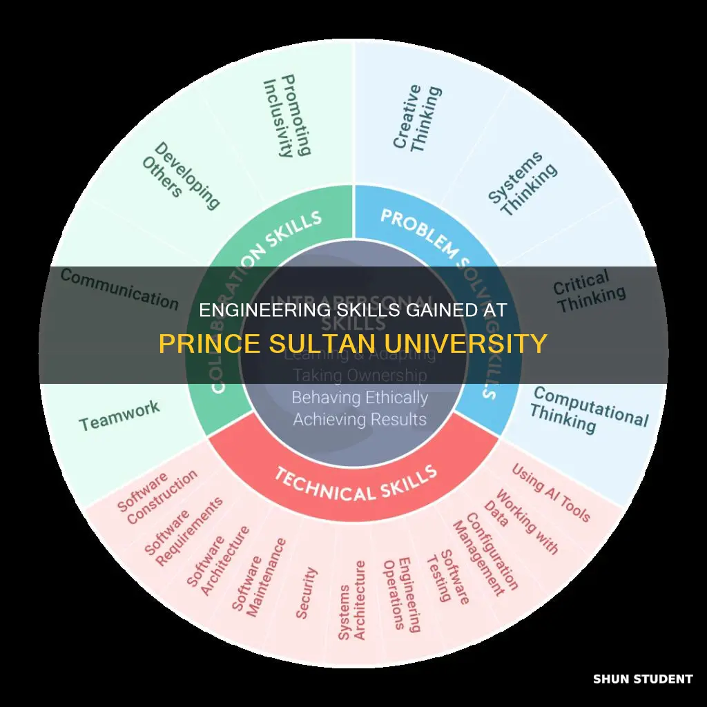which skills does prince sultan university offers for engineering students