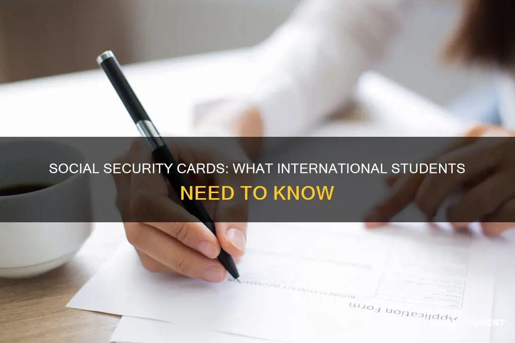 which social security cards do international students receive