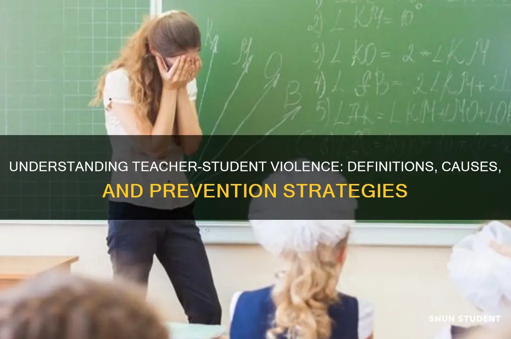 which specifically defines teacher-student violence