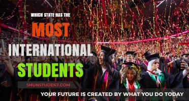 International Students: Which State Attracts the Most?