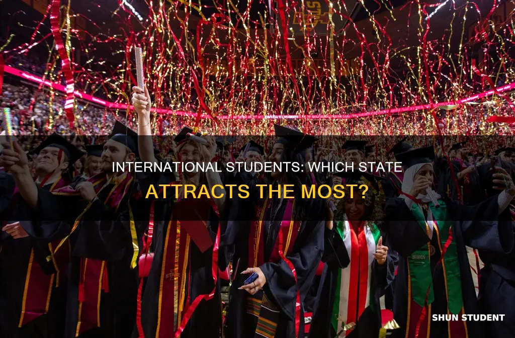 which state has the most international students