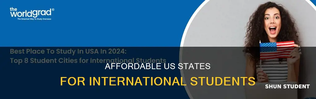 which state is affordable for international students in usa