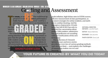 Understanding Grading Criteria: What Students Will Be Evaluated On