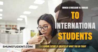 International Students: Navigating Unique Stressors Abroad