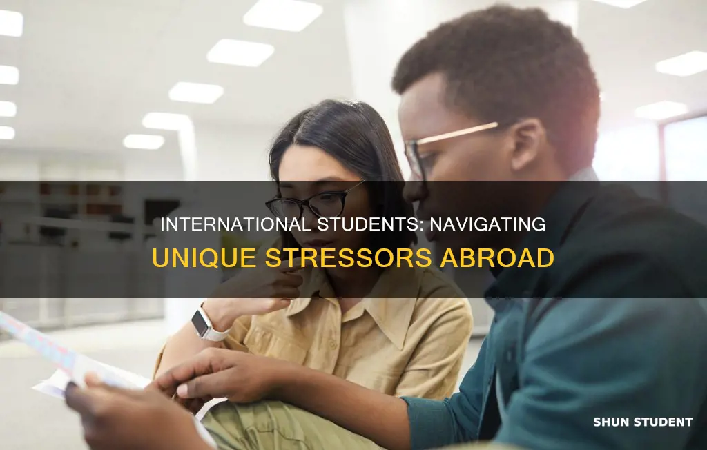 which stressor is unique to international students