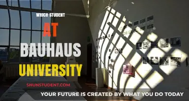 The Creative Genius: Unveiling the Student Behind Bauhaus Innovation